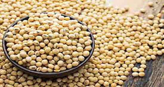 فواید لوبیا سویا ؛ خواص خوردن لوبیا سویا برای تقویت حافضه کودکان