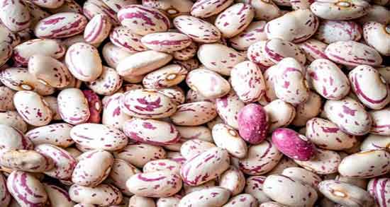 فواید و مضرات لوبیا چیتی ؛ خواص لوبیا چیتی برای چربی سوزی بدن