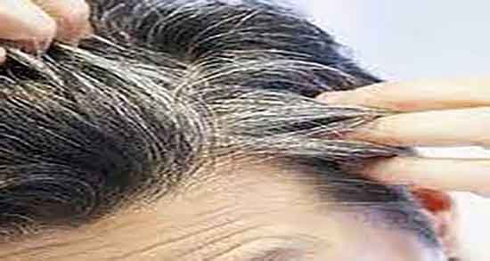 هلیله سیاه برای سفیدی مو ؛ روش مصرف هلیله سیاه برای سفیدی مو