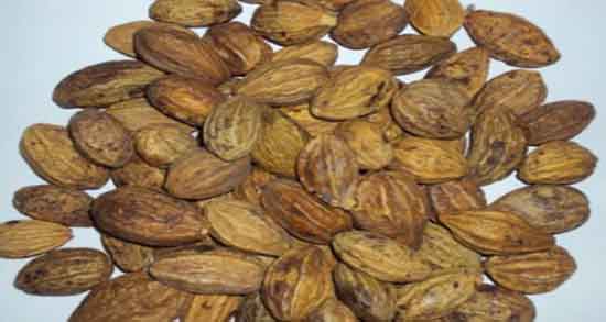 هلیله سیاه در روغن زیتون ؛ روغن هلیله سیاه برای رفع سفیدی مو