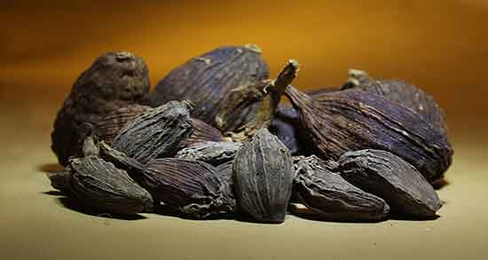 هلیله سیاه و دیابت ؛ ایا مصرف هلیله سیاه برای دیابت خوب است