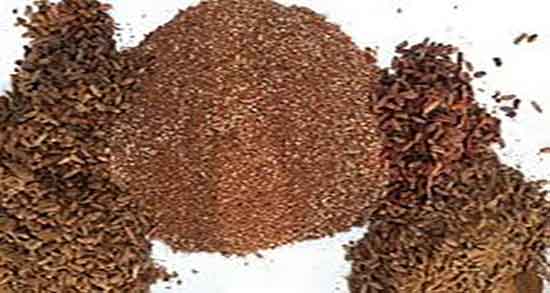 هسته خرما را چگونه پودر کنیم ؛ روش سوزاندن هسته خرما در خانه