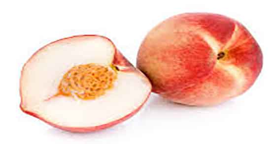 هلو برای سگ مفید است ؛ از چه سنی به سگ میوه هلو بدهیم