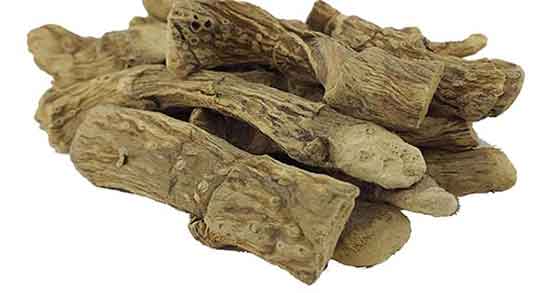 خواص اگیر ترکی چیست ؛ فواید مصرف اگیر ترکی برای رفع لکنت زبان