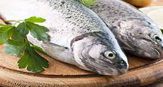 خواص گوشت ماهی چیست ؛ بارزترین مزیت گوشت ماهی چیست