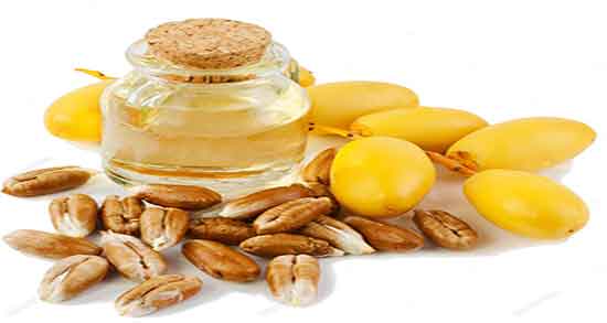 خواص هسته خرما برای دام ؛ فواید مصرف ضایعات خرما برای تغذیه دام
