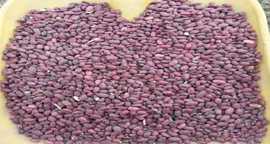 خواص لوبیا قرمز و چیتی ؛ خواص لوبیا چیتی و قرمز در دوران بارداری