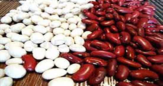 خواص لوبیا قرمز و سفید ؛ ایا مصرف لوبیا قرمز و سفید برای کبد مفیده