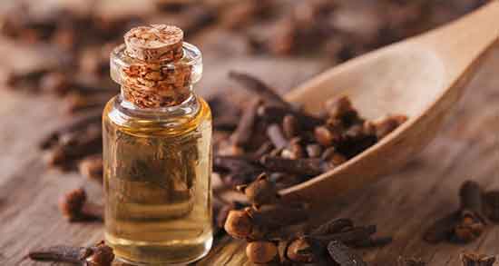 خواص میخک در طب اسلامی ؛ فواید روغن میخک در طب اسلامی