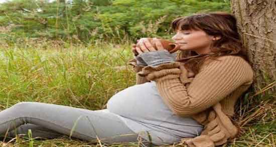 خواص یونجه برای زنان باردار ؛ فواید عرق یونجه برای زنان حامله چیست