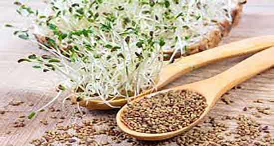 خواص یونجه در بدنسازی ؛ طریقه مصرف عرق یونجه برای ورزشکاران