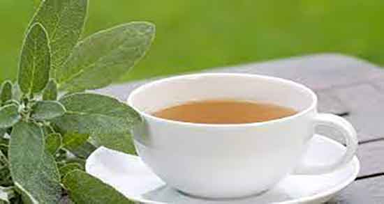 مریم گلی و دیابت ؛ طریقه مصرف مریم گلی برای کنترل قند خون