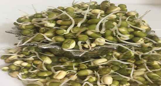 ماش برای بارداری ؛ خوردن ماش پلو در دوران بارداری نی نی سایت