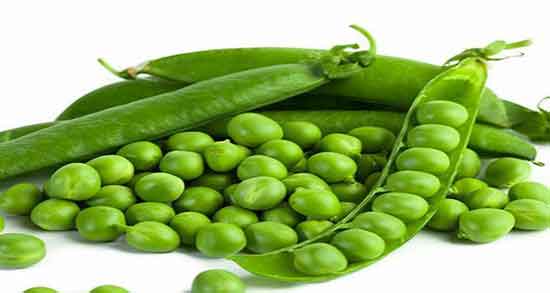 نخود فرنگی برای کودک زیر یکسال ؛ ایا نخود فرنگی برای کودک مفیده