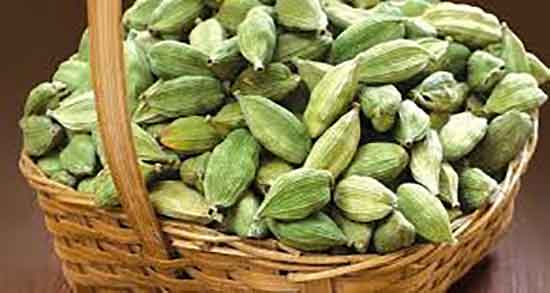 طرز تهیه دمنوش هل ؛ دستور تهیه دمنوش هل برای لاغری و چربی سوزی