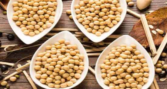 آجیل سویا برای لاغری ؛ کاهش اشتها و لاغری با مصرف آجیل سویا