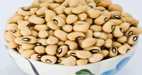 آجیل سویا برای چاقی ؛ خاصیت خوردن آجیل سویا برای افزایش وزن و چاقی
