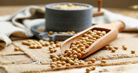 آجیل سویا و بدنسازی ؛ افزایش عضله سازی و تقویت عضلات با مصرف آجیل سویا