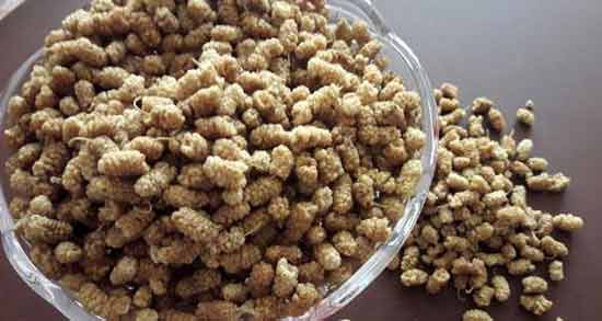 توت خشک برای قند خون ؛ پیشگیری از ابتلا به دیابت با مصرف توت خشک