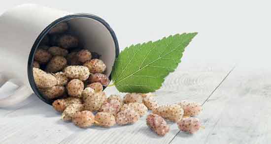 توت سفید برای کودک یک ساله ؛ وجود مواد مغذی در توت سفید مفید برای رشد کودک
