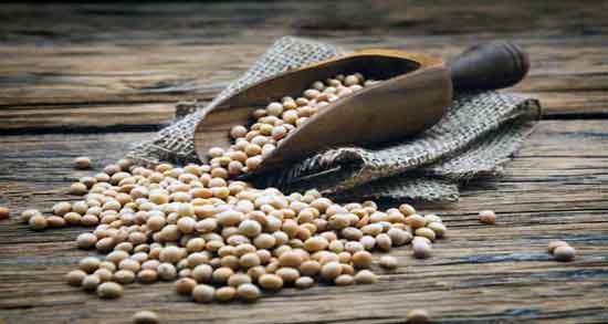خواص آجیل سویا در بارداری ؛ اسید فولیک موجود در آجیل سویا مفید برای زنان باردار