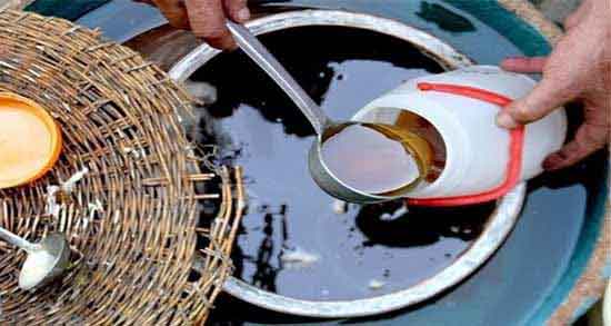 خواص ارده شیره در بارداری ؛ تامین آهن و کلسیم بدن زنان باردار با مصرف ارده شیره