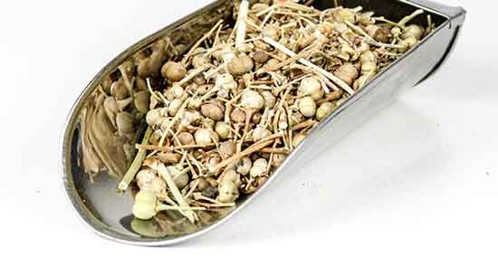 خواص اسپند در طب سنتی ؛ آشنایی با خاصیت درمانی اسپند از دیدگاه طب سنتی