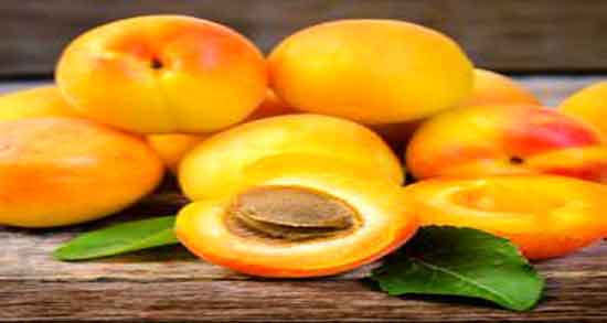 خواص هسته زردآلو ؛ در طب سنتی برای کودکان و پوست و سرطان و سیانور