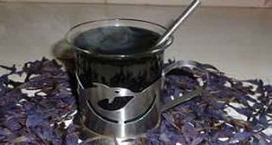 خواص گل گاوزبان دکتر خیراندیش ؛ آشنایی با خواص درمانی گل گاوزبان از نظر دکتر خیراندیش