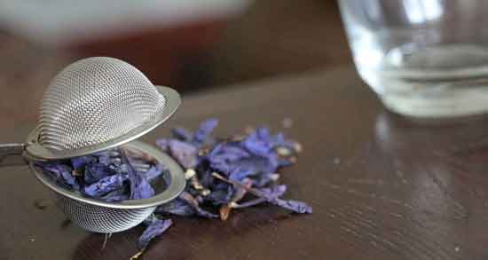 خواص گل گاوزبان و فشار خون ؛ مصرف گل گاوزبان باعث کاهش یا افزایش فشار خون؟