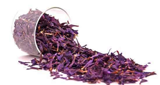 خواص گل گاوزبان چیست ؛ درمان فشار خون بالا ، دیابت و تقویت اعصاب با خوردن گل گاوزبان