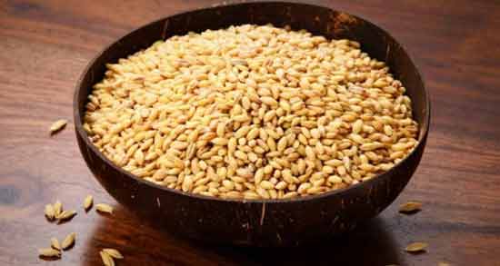 خوردن جو در بارداری ؛ تاثیرات مصرف جو برای سلامت زن باردار