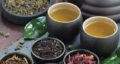خوردن گل گاو زبان قبل از خواب و گل گاو زبان برای چی خوبه و برای چه کسانی مضر است