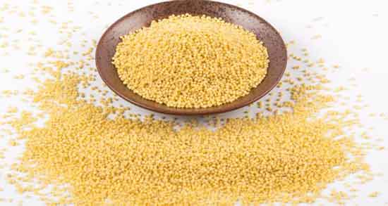 فواید ارزن برای پرنده ؛ خواص و فواید استفاده از ارزن برای غذای پرنده ها