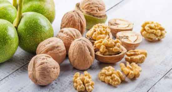 مضرات گردو برای کلیه ؛ بررسی مضرات و عوارض خوردن گردو برای بیماری کلیه