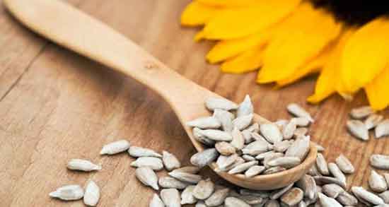 فواید تخمه آفتابگردان برای بدنسازی ؛ تخمه افتابگردان برای ورزشکاران