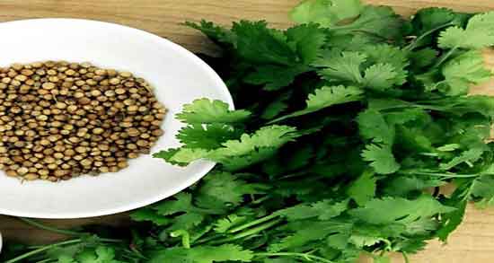 فواید گشنیز برای مو ؛ خواص مصرف تخمه گشنیز برای تقویت موی سر
