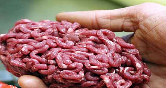 فواید و مضرات گوشت اسب ؛ خواص و عوارض مصرف گوشت اسب