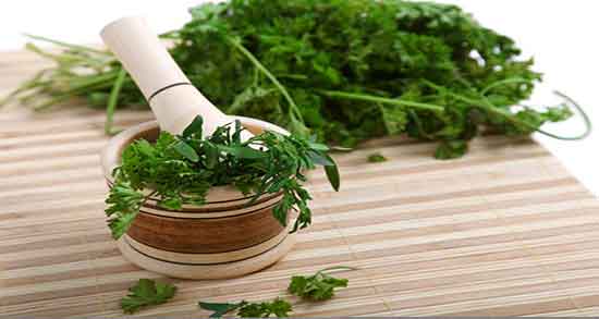 گشنیز برای پریودی ؛ خواص دمنوش گشنیز برای درمان درد پریودی