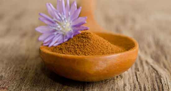 خواص ریشه کاسنی در بارداری ؛ فواید مصرف ریشه کاسنی برای بارداران