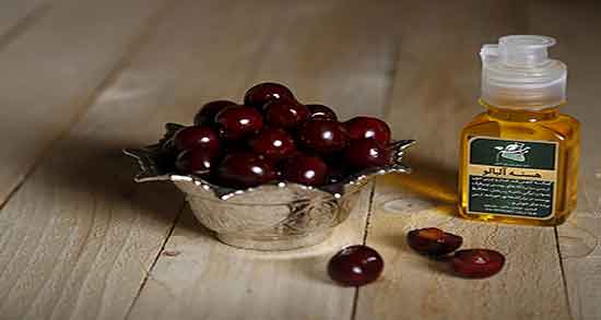خاصیت روغن هسته آلبالو ؛ خواص روغن هسته البالو نی نی سایت