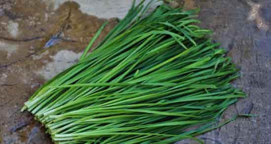 خواص تره در بدنسازی ؛ فواید مصرف تره برای ورزشکاران و بدنسازان
