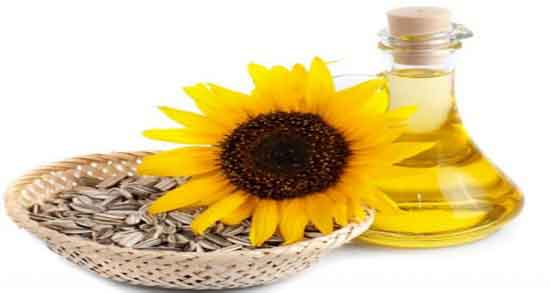 خواص تخمه آفتابگردان برای جنین ؛ خاصیت تخمه آفتابگردان برای نوزادان