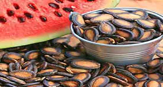 مضرات تخمه هندوانه بو داده ؛ ایا تخمه هندوانه بو داده چاق میکند