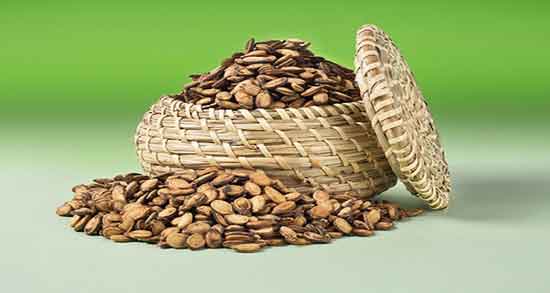 تخمه هندوانه برای چی خوبه ؛ ایا خوردن تخمه هندوانه برای بارداری خوبه