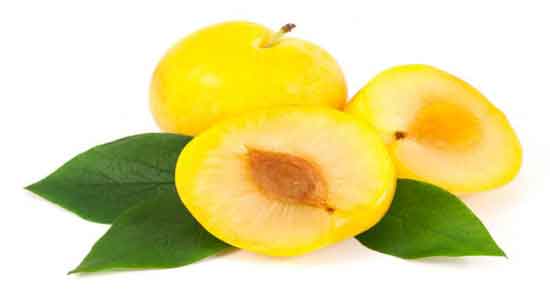 انواع آلو زرد ؛ چند نوع آلو زرد وجود دارد؟