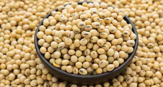 خواص آجیل سویا ؛ برای مردان ، زنان ، در بدنسازی و در بارداری