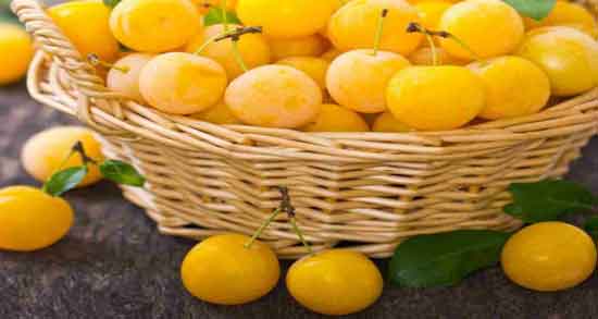 فواید آلو زرد ؛ آشنایی با خواص و فواید درمانی مصرف آلو زرد