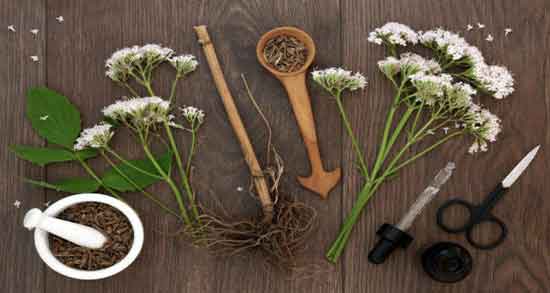 خواص سنبل الطیب و اسطوخودوس ؛ عصاره اسطوخودوس و سنبل الطیب