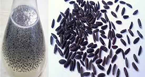 عکس بارهنگ ؛ تصاویر بارهنگ تازه و دانه شده در فروشگاهای اینترنتی